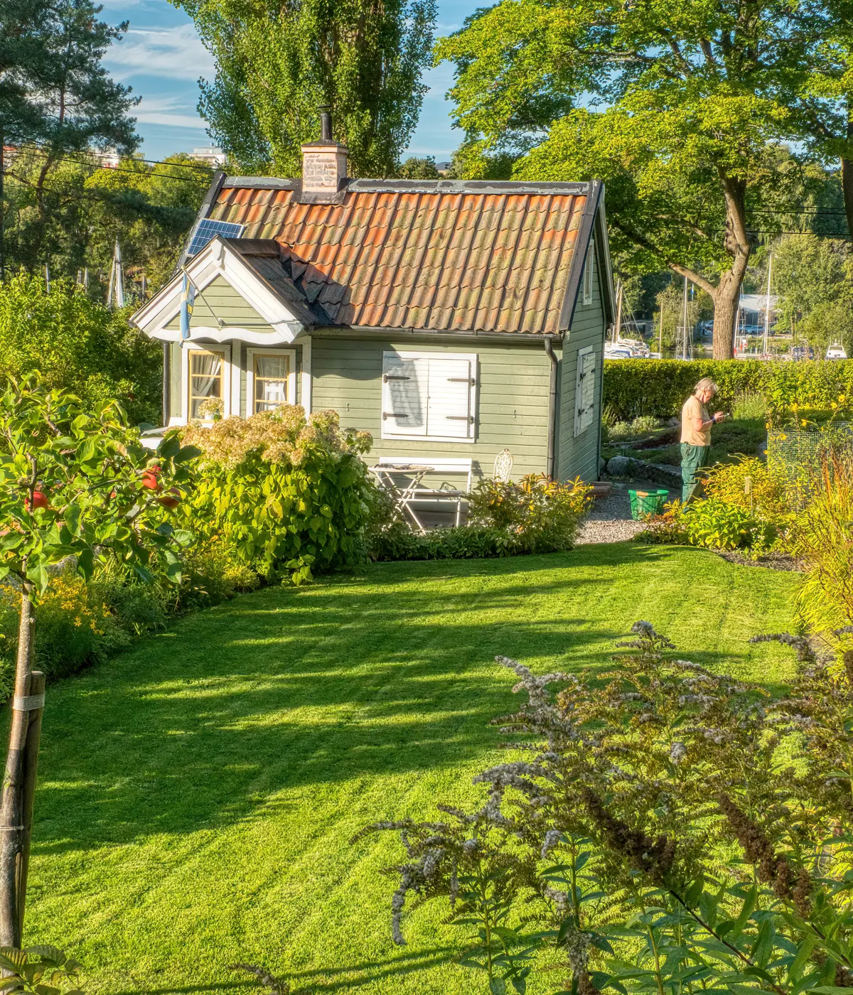 Frodig sommerhage med blomster og en liten hytte i bakgrunnen